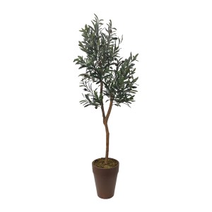 Olive Tree A478150 