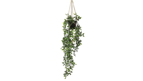 Potted Hanging 