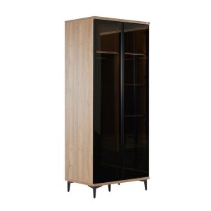 Mary 2 Glass Door With Shelf Closet