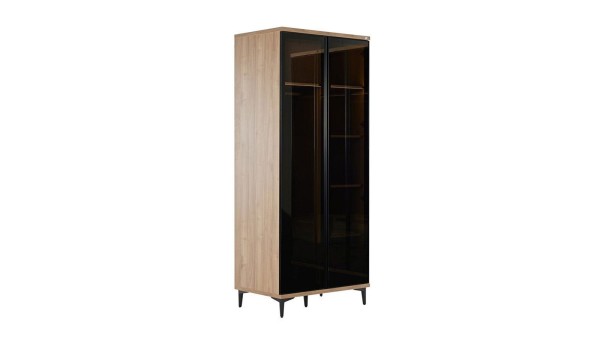 Mary 2 Glass Door With Shelf Closet