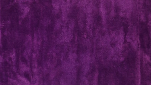 Lalee Velvet Lalee Velvet