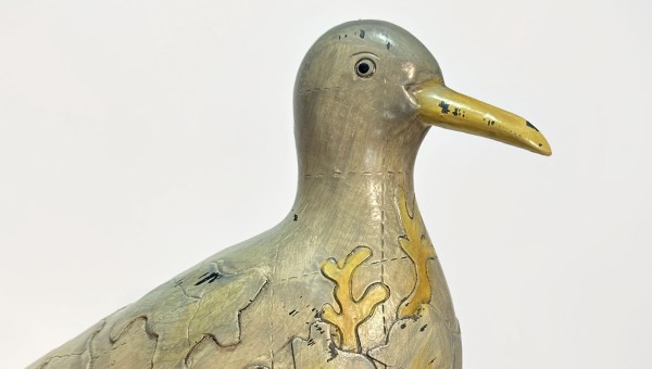 Sea Bird Decoration