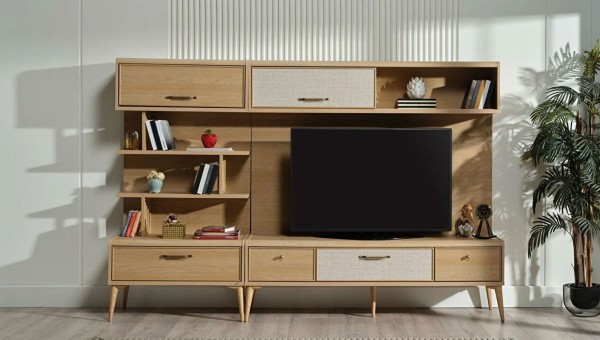Mitra Tv Unit