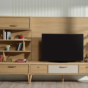 Mitra Tv Unit