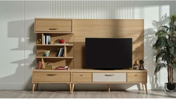 Mitra Tv Unit