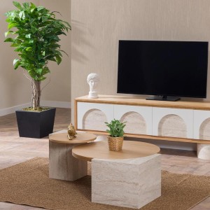 Asya Tv Unit